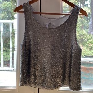 Silver Sequined Sleeveless A-Line Blouse
